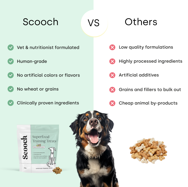Training Treats Banana & Peanut Butter (3 packs)