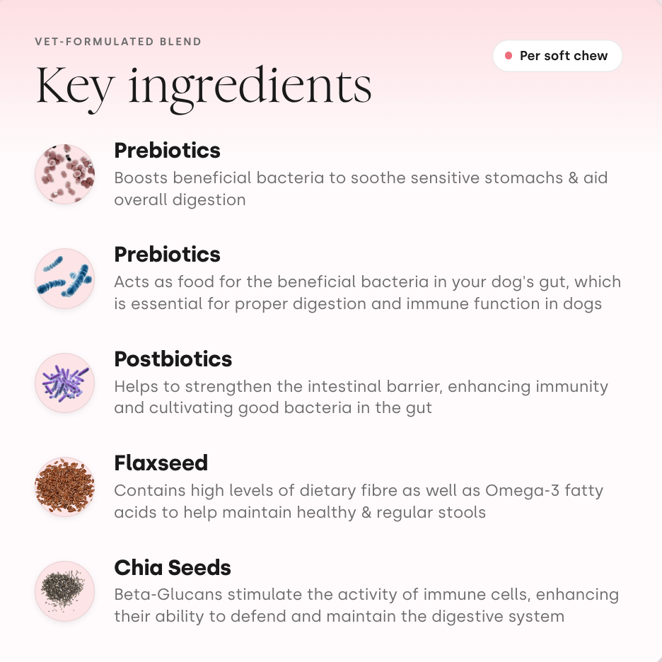 Gut & Digestion