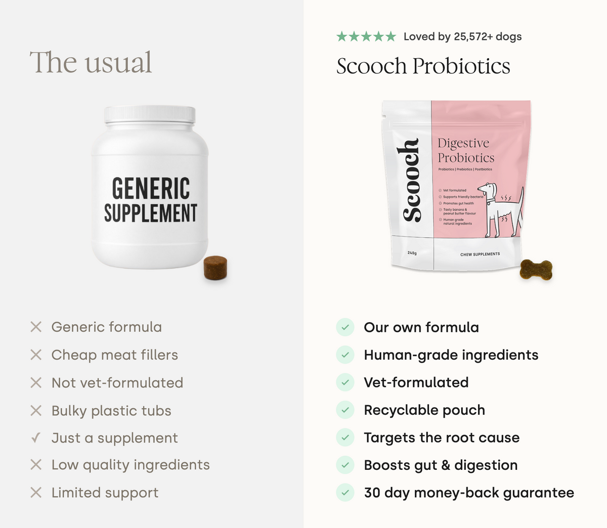 Gut & Digestion