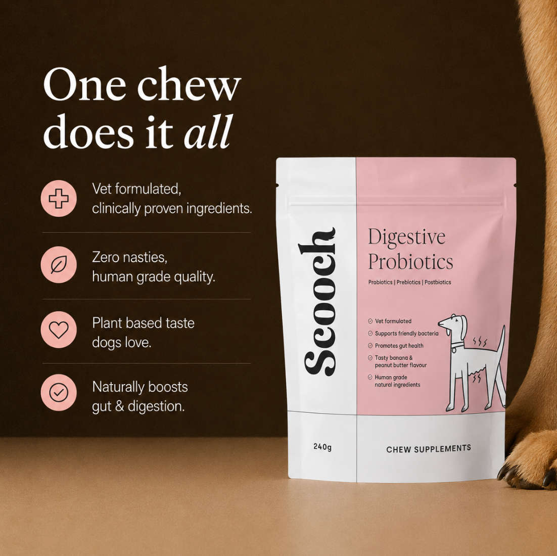 Gut & Digestion