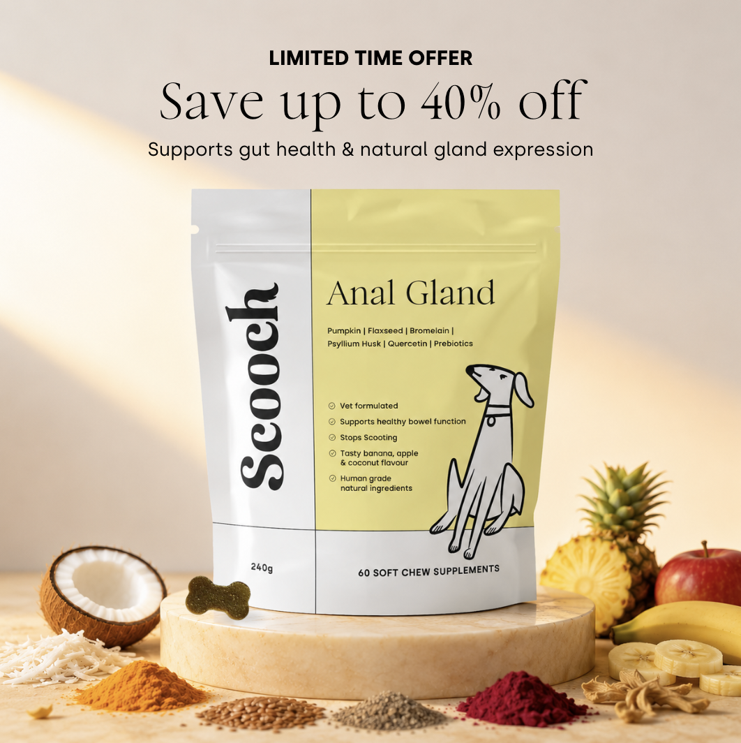 Anal Gland