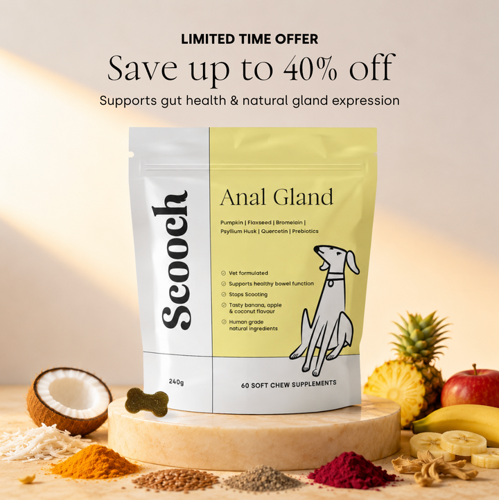 Anal Gland