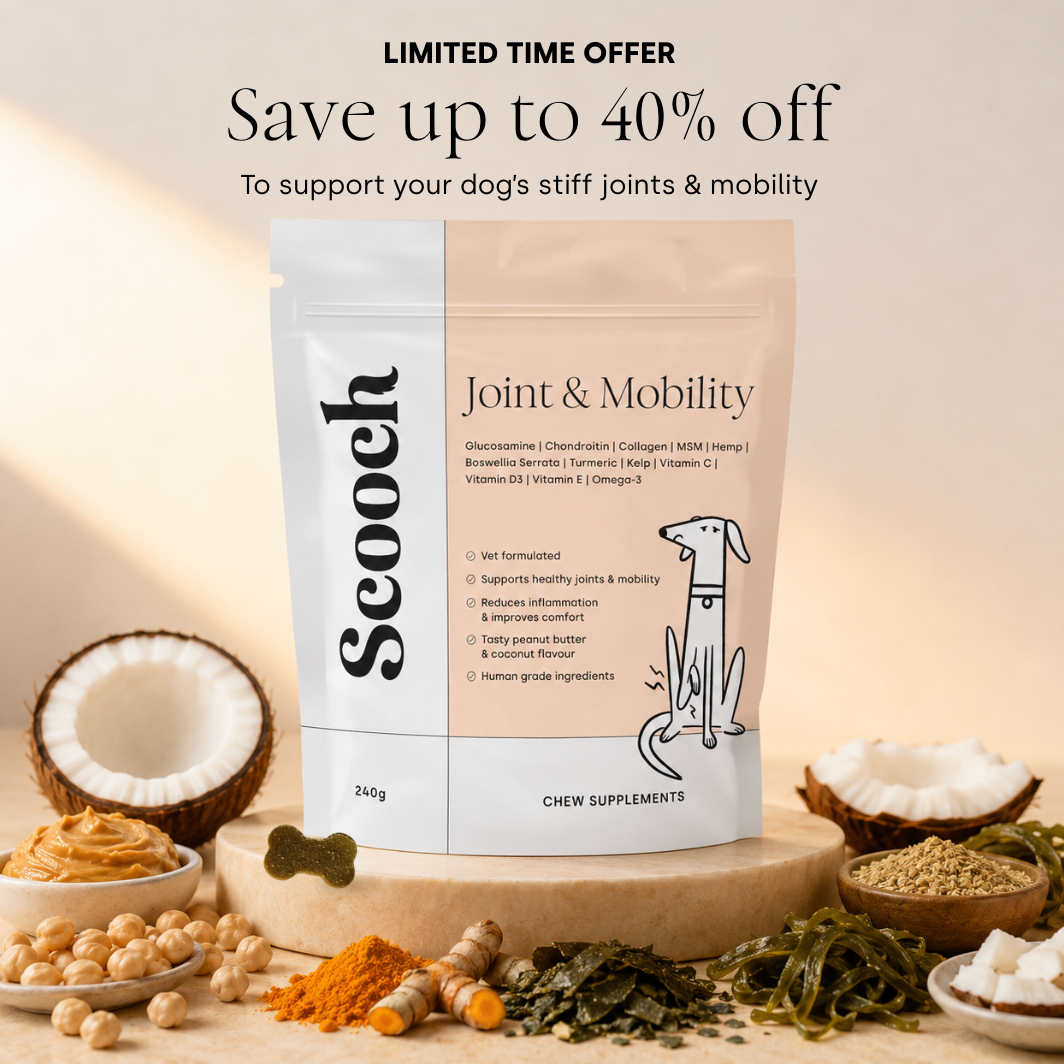 Joint & Mobility