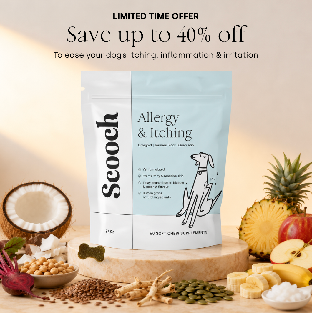 Allergy & Itching