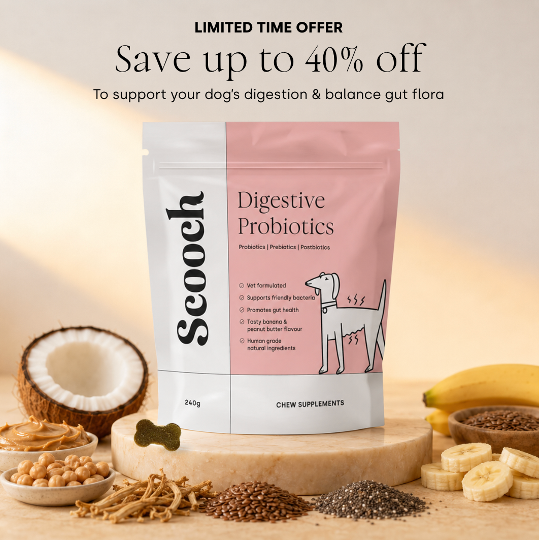 Gut & Digestion