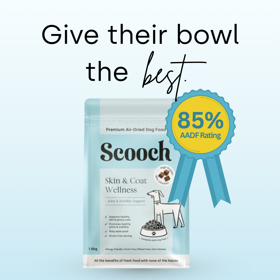 Premium Air-Dried Dog Food - Skin & Coat Wellness