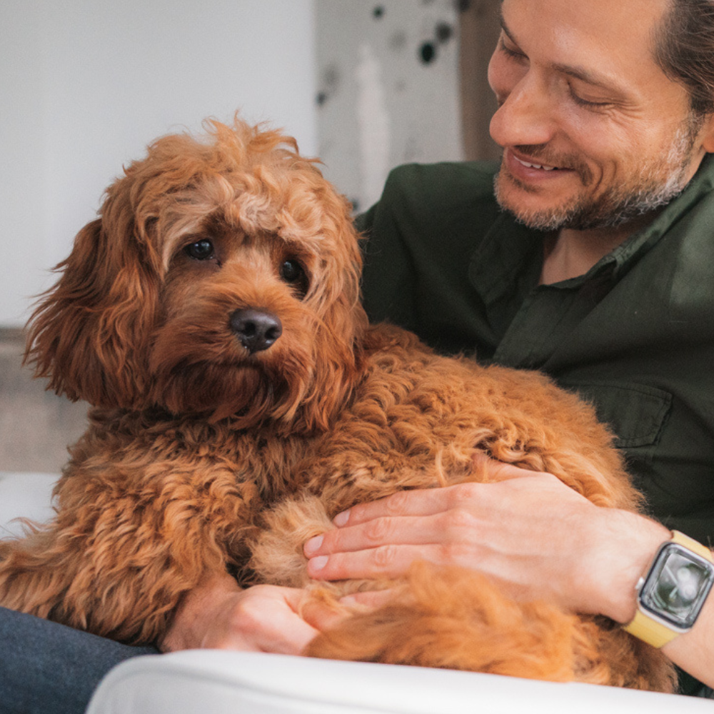 Baris Ozaydinl founder of Scooch with his dog Rio the Cavapoo