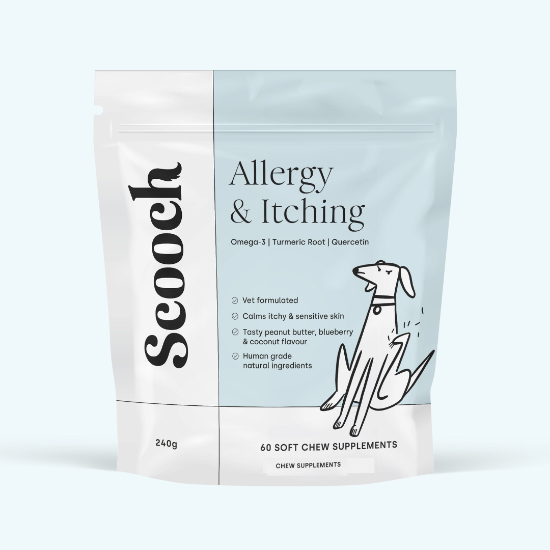 Allergy & Itching (3 packs)