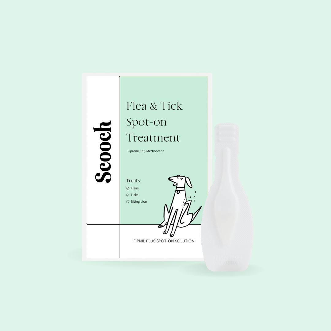 Flea Tick