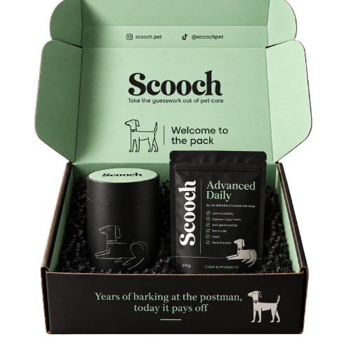 Scooch welcome box containing the Advanced Daily pouch and a chew tin