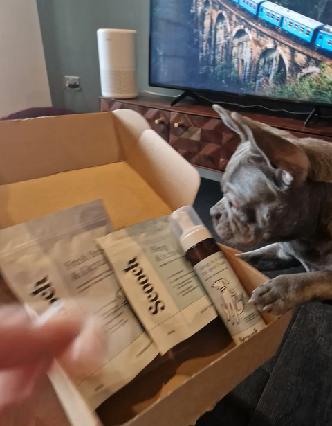 Reviewer’s dog
