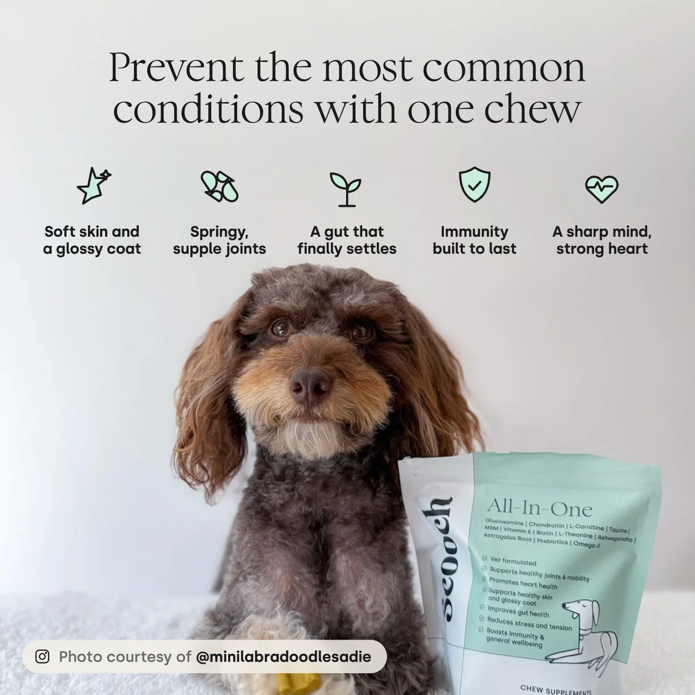 Benefits of Scooch All-in-one Vitamin E Supplement