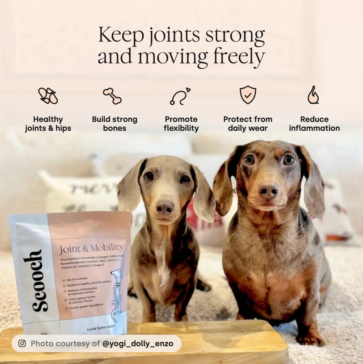 Benefits of Scooch Joint & Mobility Collagen Supplement