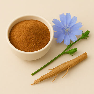Chicory root