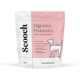 Gut & Digestion