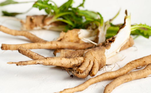 Chicory root