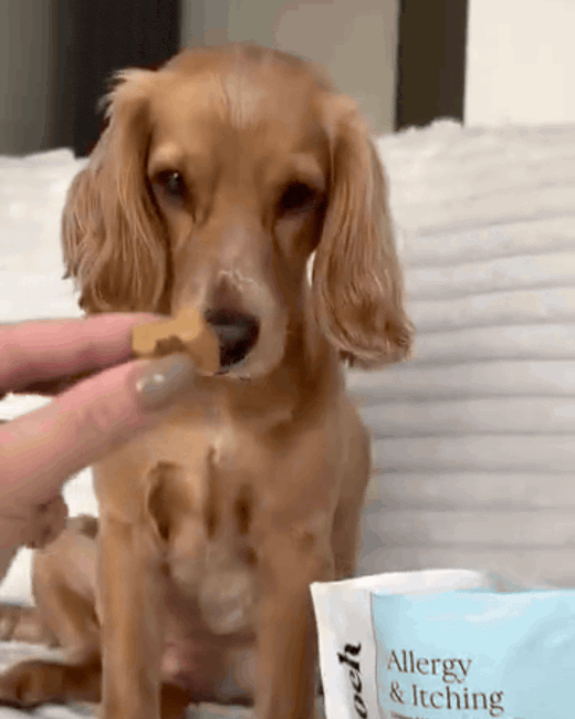 Lyla, a Scooch customer, in a short clip