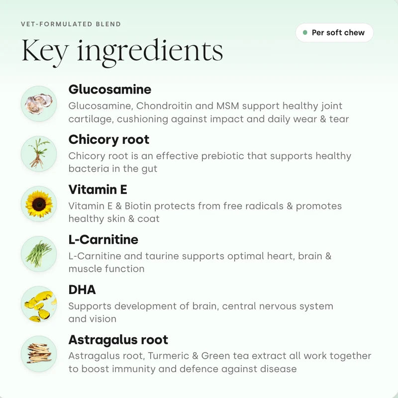 Key ingredients in Scooch All-In-One dog supplement chews available by subscription