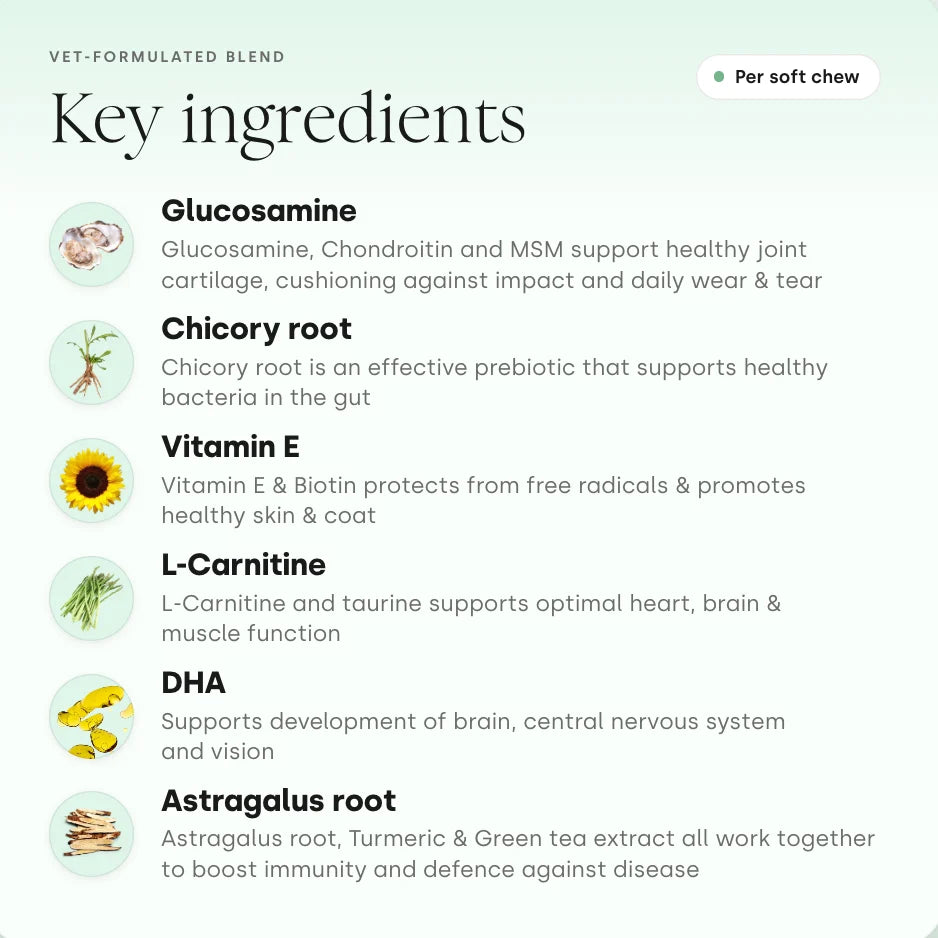 Scooch All-in-One Key Ingredients Featuring Vitamin E