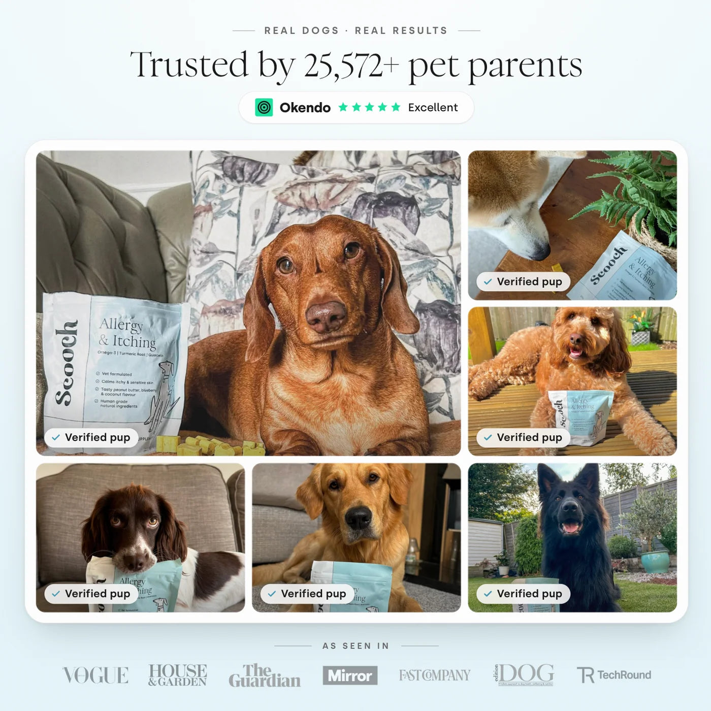 Scooch Allergy & Itching Omega-3 Supplements trusted by over 25000 pet parents