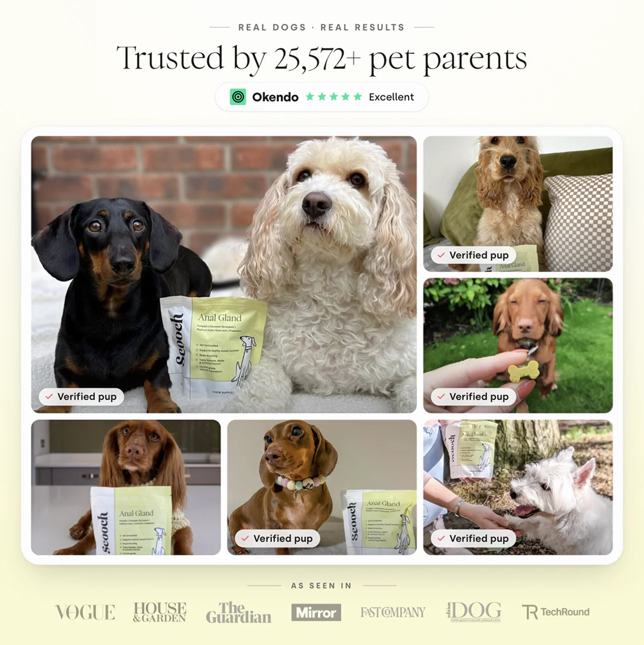 Scooch Anal Gland Prebiotic Supplements Trusted by Over 25,000 Pet Parents