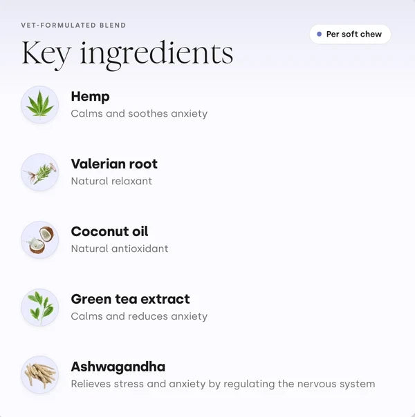 Scooch Calming Key Ingredients for Dogs