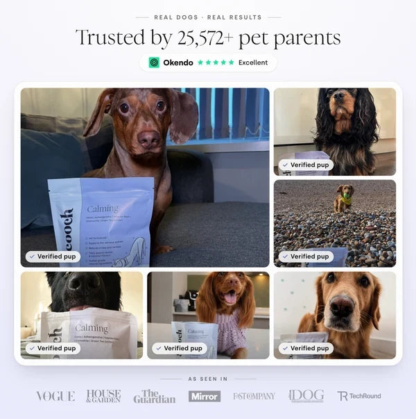 Scooch Calming Supplements for Dogs trusted by over 25000 pet parents