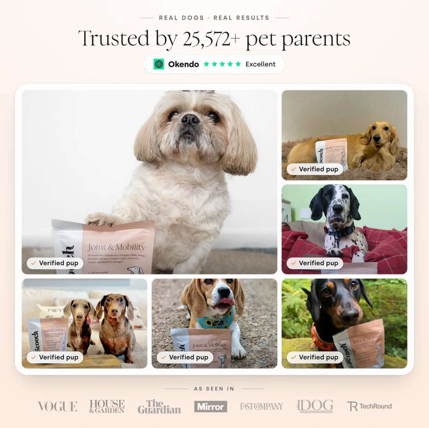 Scooch Joint & Mobility Collagen Supplements Trusted by Over 25,000 Pet Parents