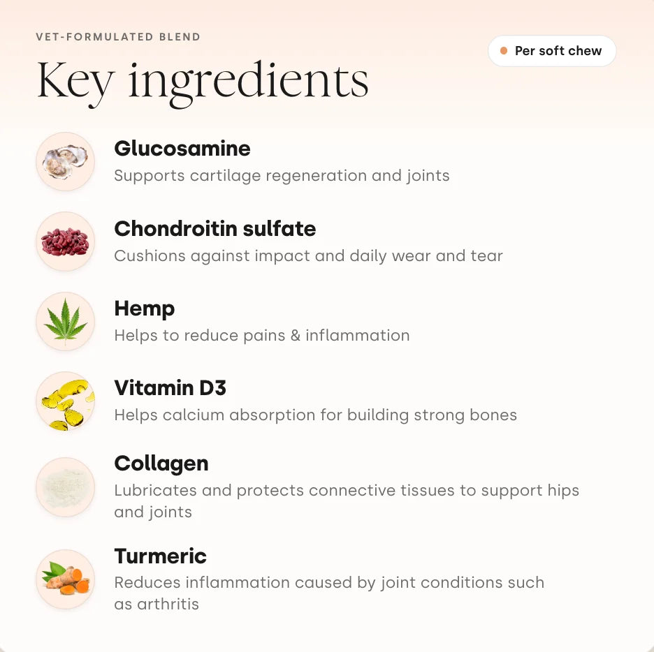 Scooch Joint & Mobility Key Ingredients Featuring Collagen
