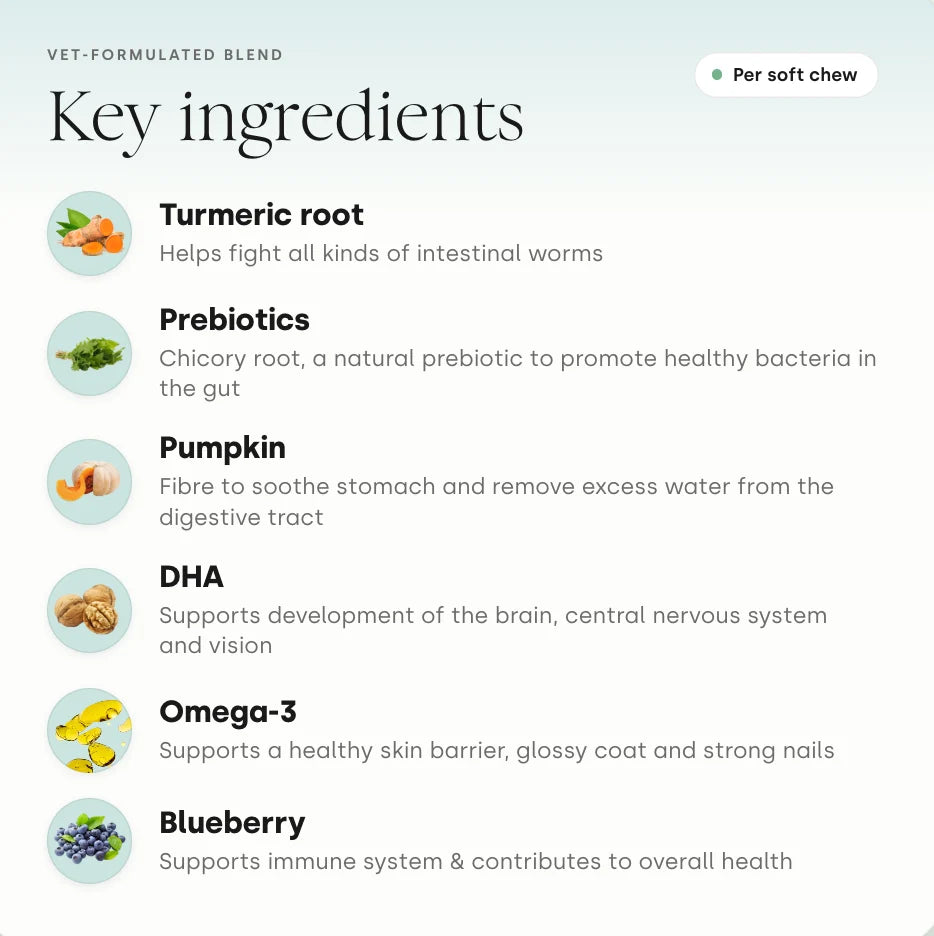 Scooch Puppy All-In-One Key Ingredients Featuring Vitamin D