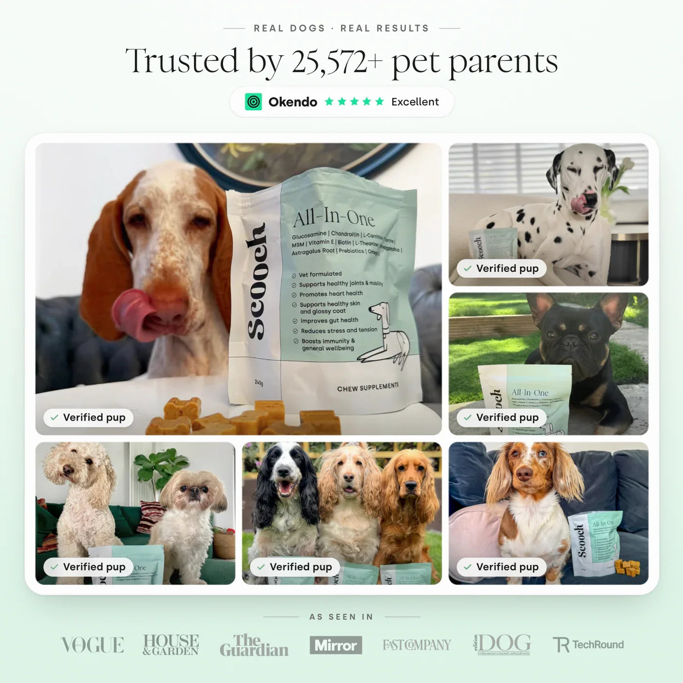 Scooch Puppy All-In-One Vitamin D Supplements Trusted by Over 25,000 Pet Parents