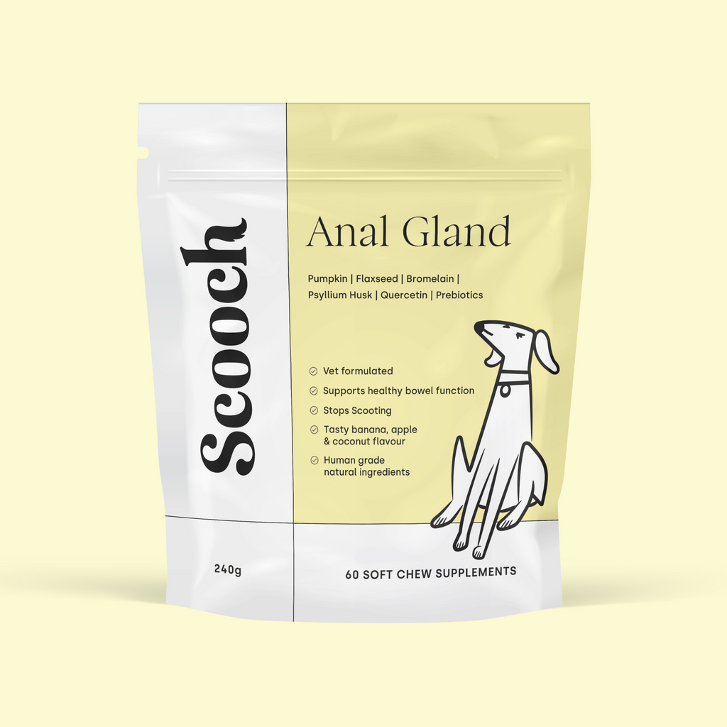 Anal Gland