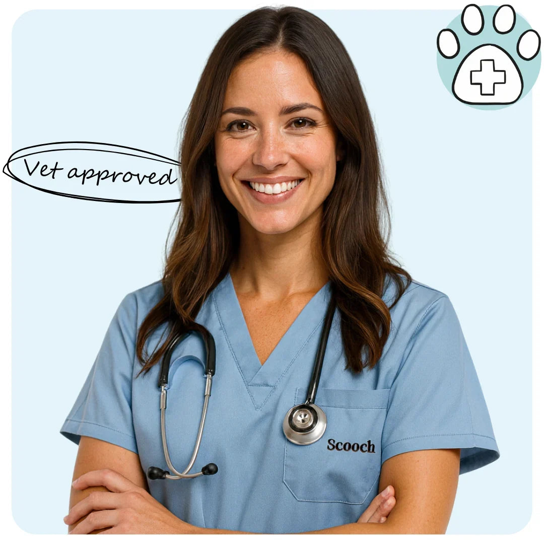 Vet-approved Scooch omega-3 supplement