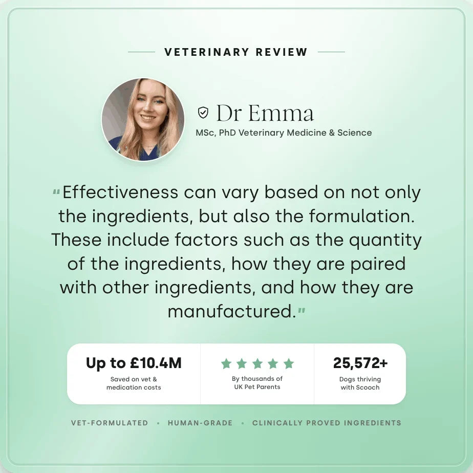 Veterinary review of Scooch omega-3 supplement
