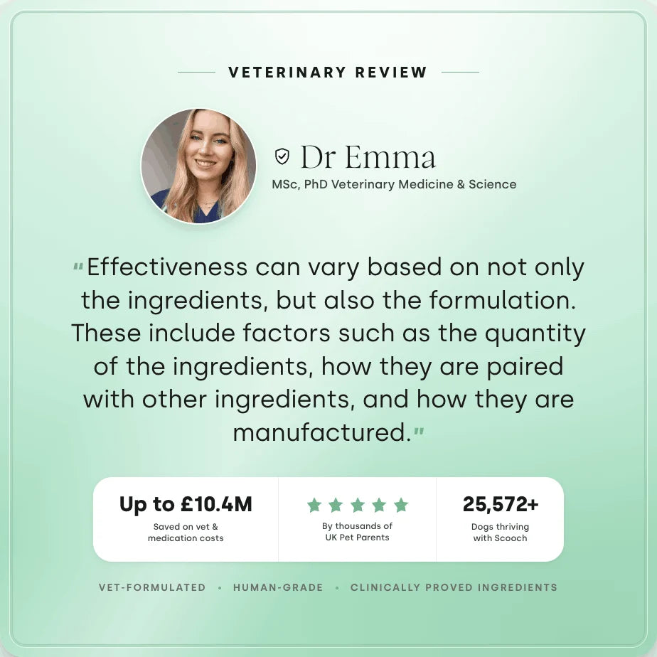 Veterinary review of Scooch vitamin E supplement by Dr Emma PHD in Veterinary Medicine & Science