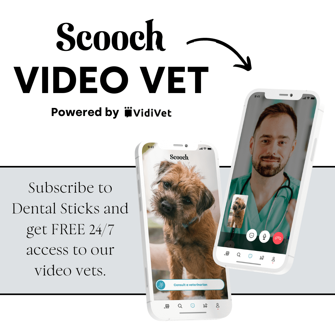 Dental Sticks.