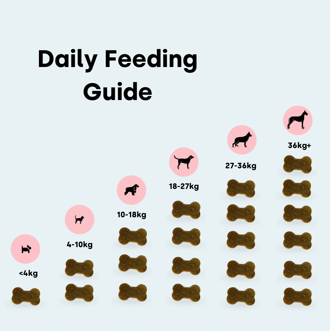 Allergy & Itching (Subscription)