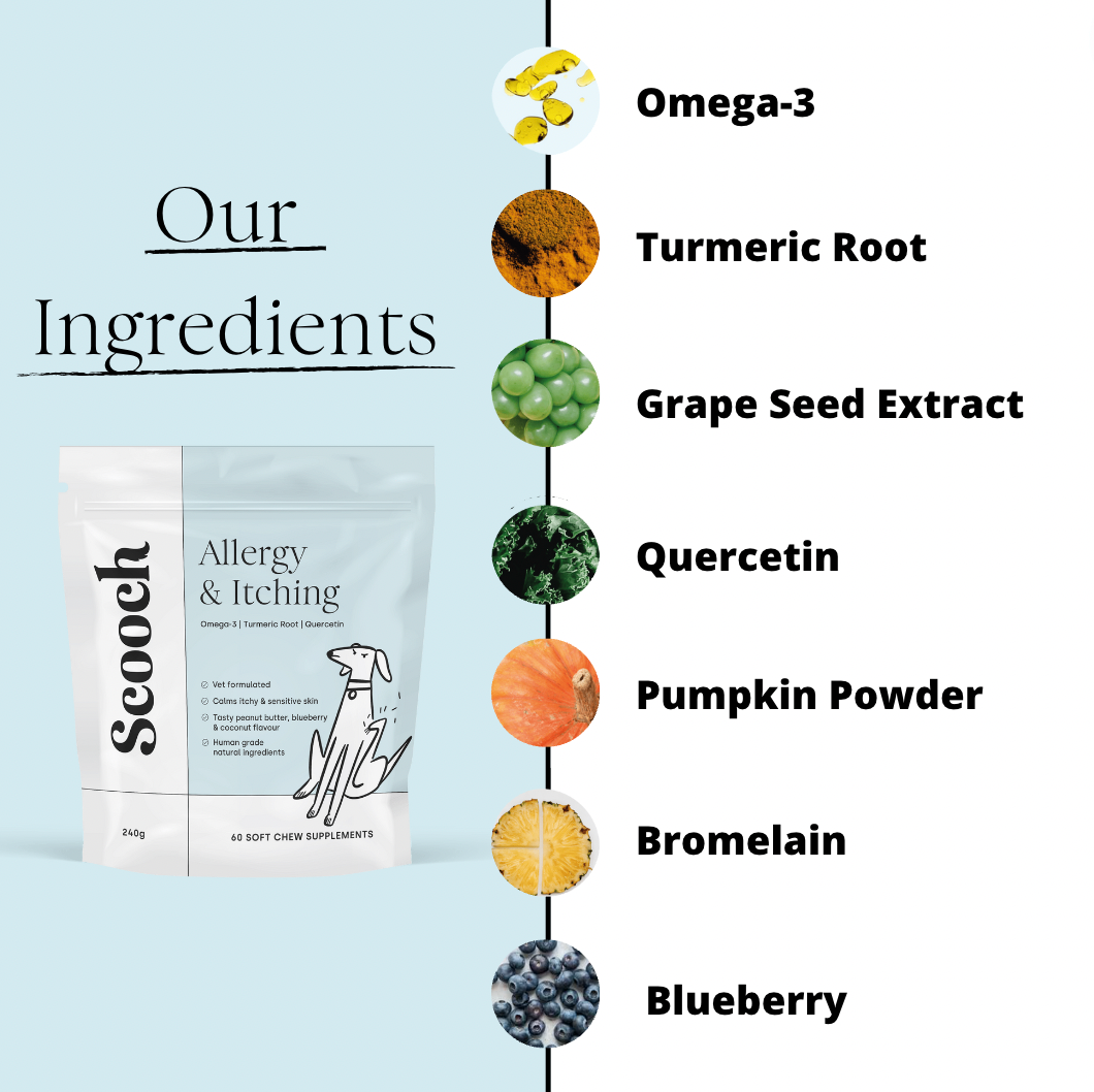 Allergy & Itching (Subscription)