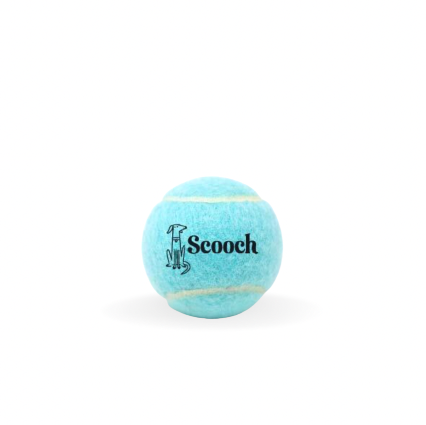 Scooch Tennis Balls (Reward)