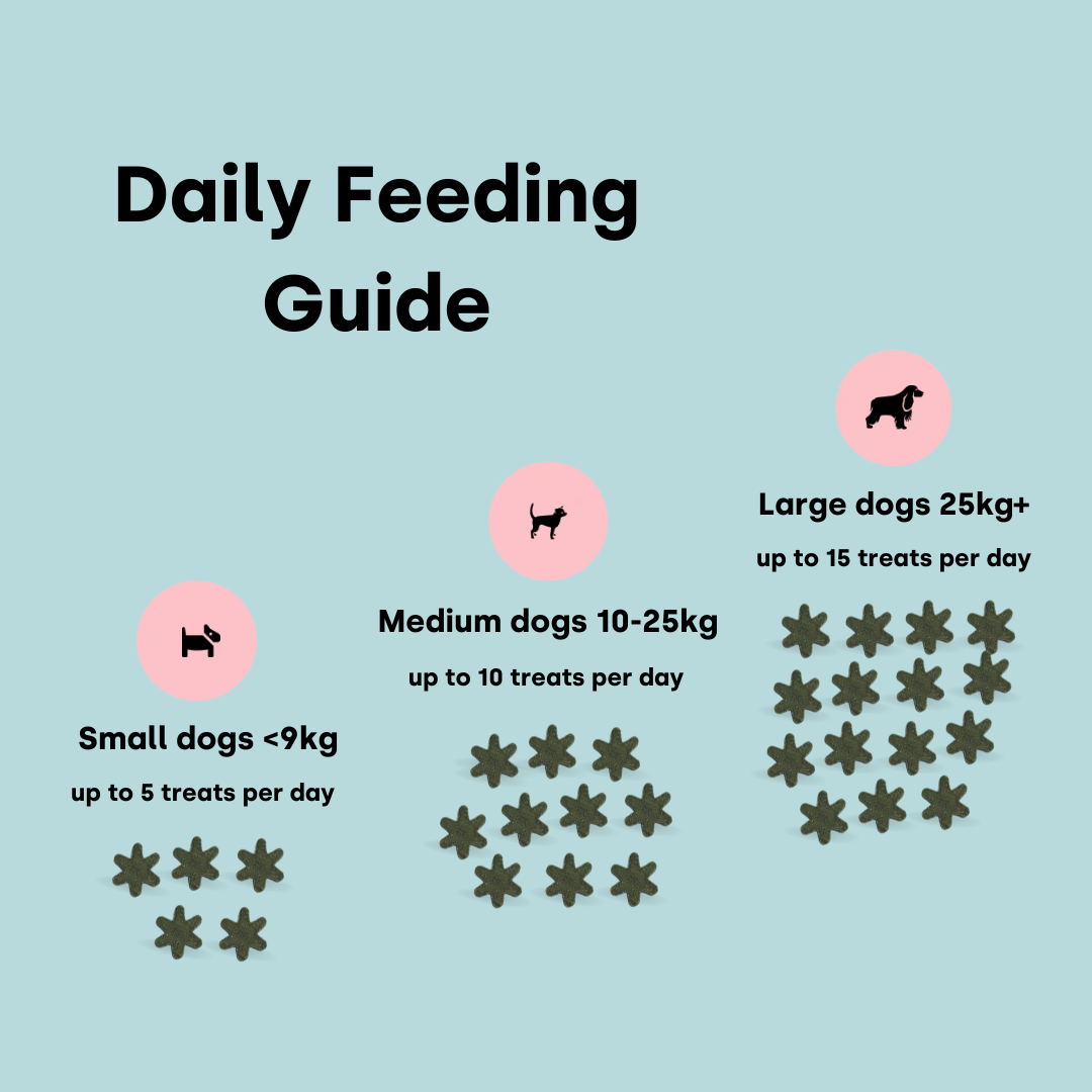 Training Treats (Reward)
